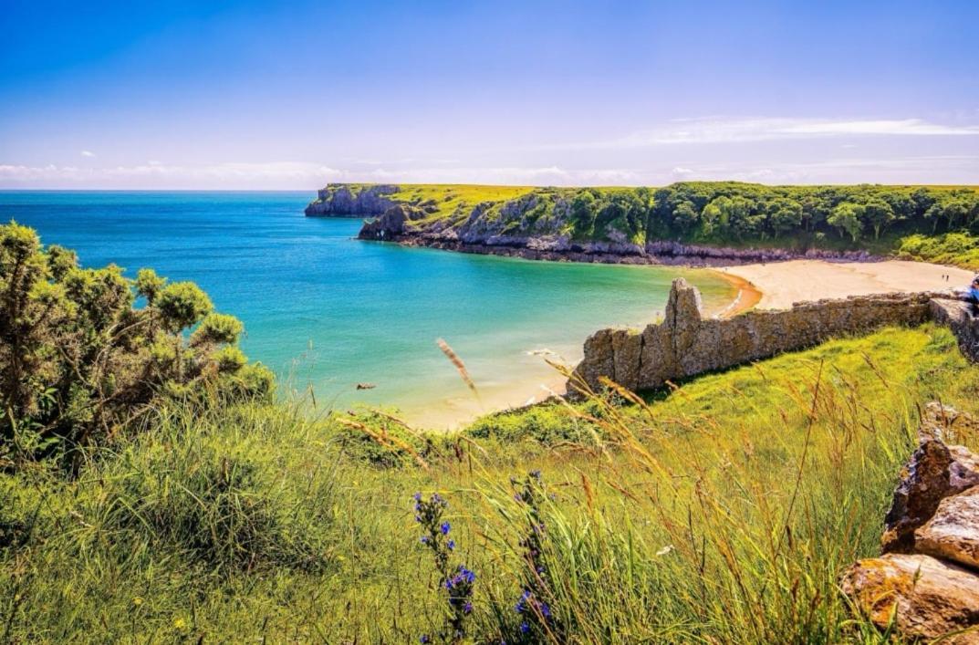 Grove Lodge Pembrokeshire Milford Haven Exteriör bild